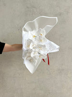 Valentine’s Day Orchids