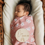 Baby Monthly Milestone Discs