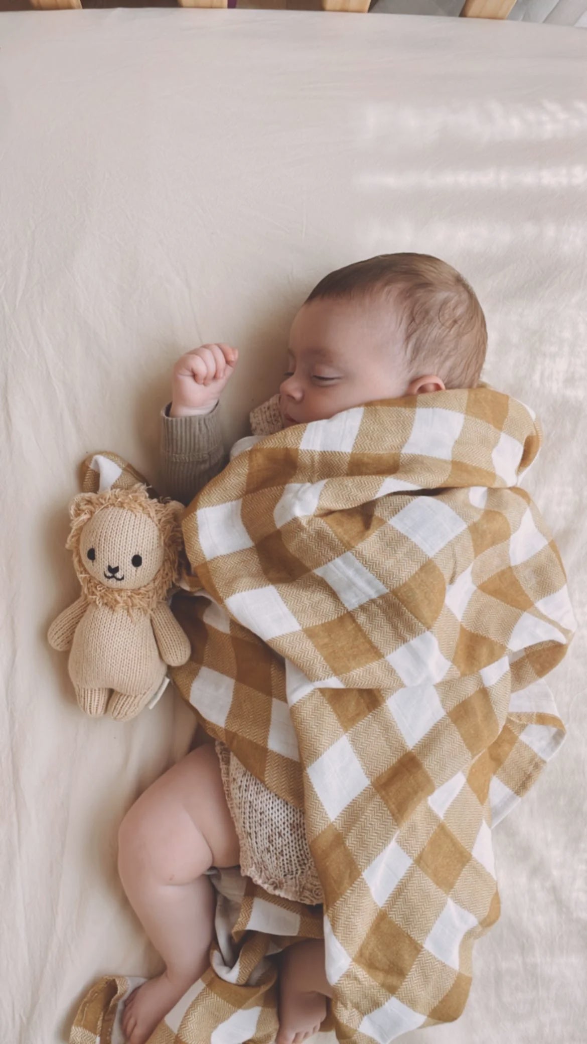 Lancaster Swaddle - Pop Ya Tot