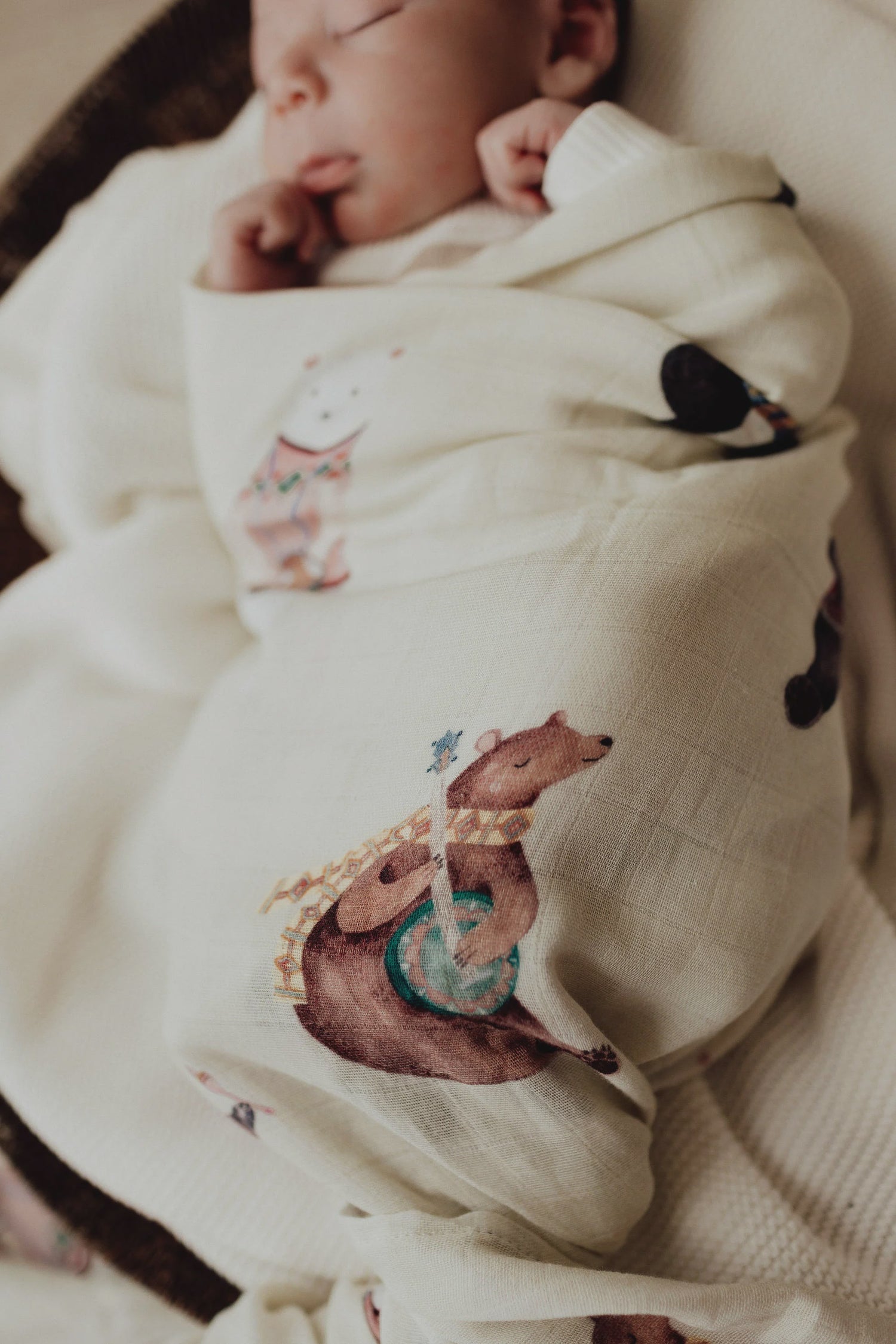 Musical Ted Swaddle - Pop Ya Tot