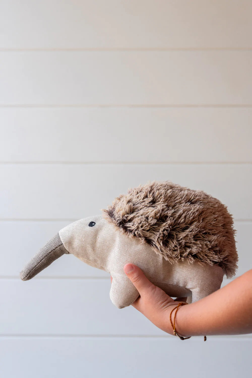 Spike The Echidna- Nana Huchy