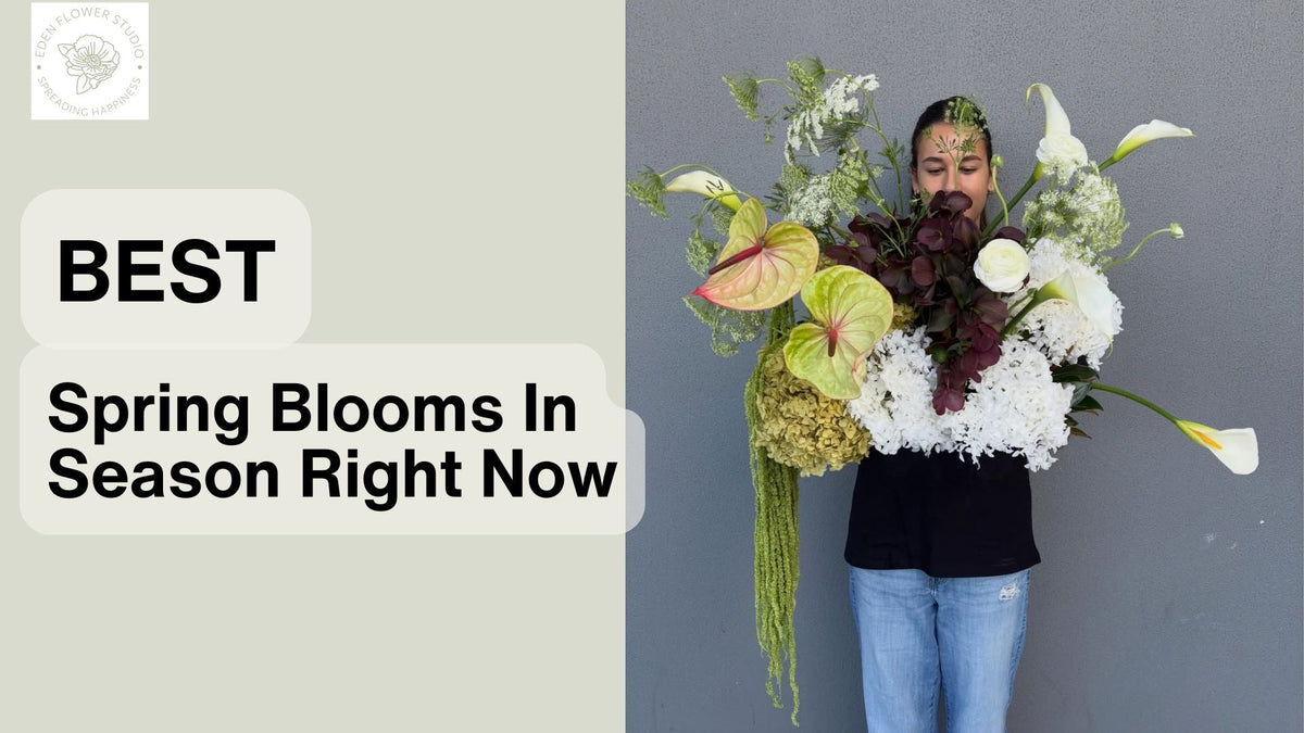 Best Spring Blooms in Season Right Now