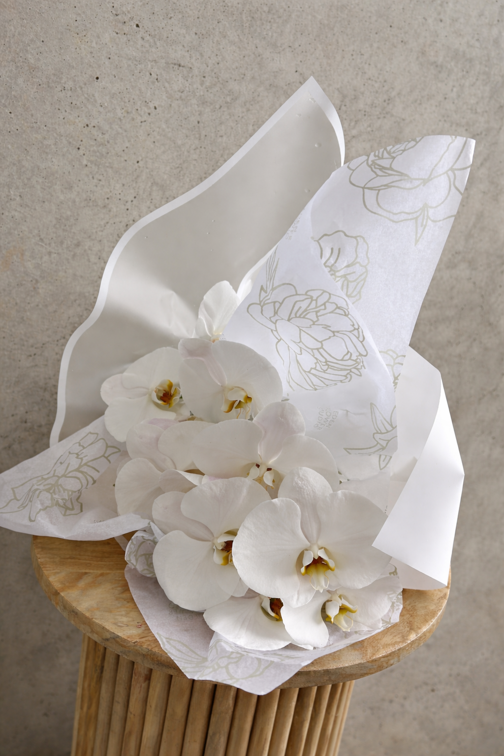 Phalaenopsis Orchid Stem Wrapped