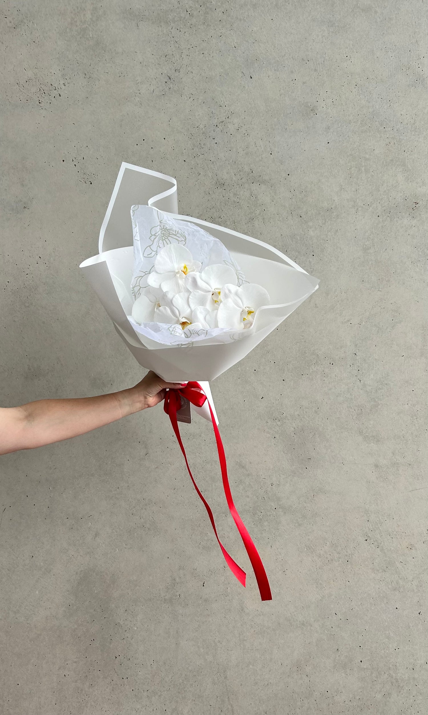 Valentine’s Day Orchids