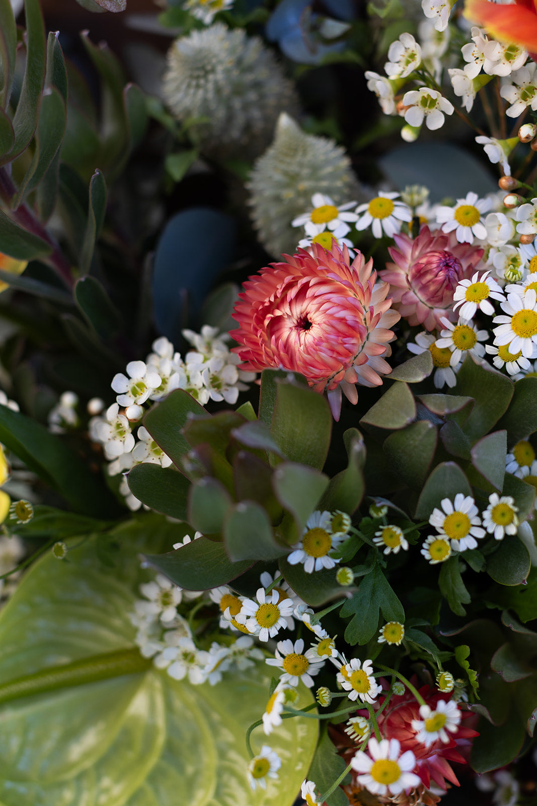 Grand Bouquet
