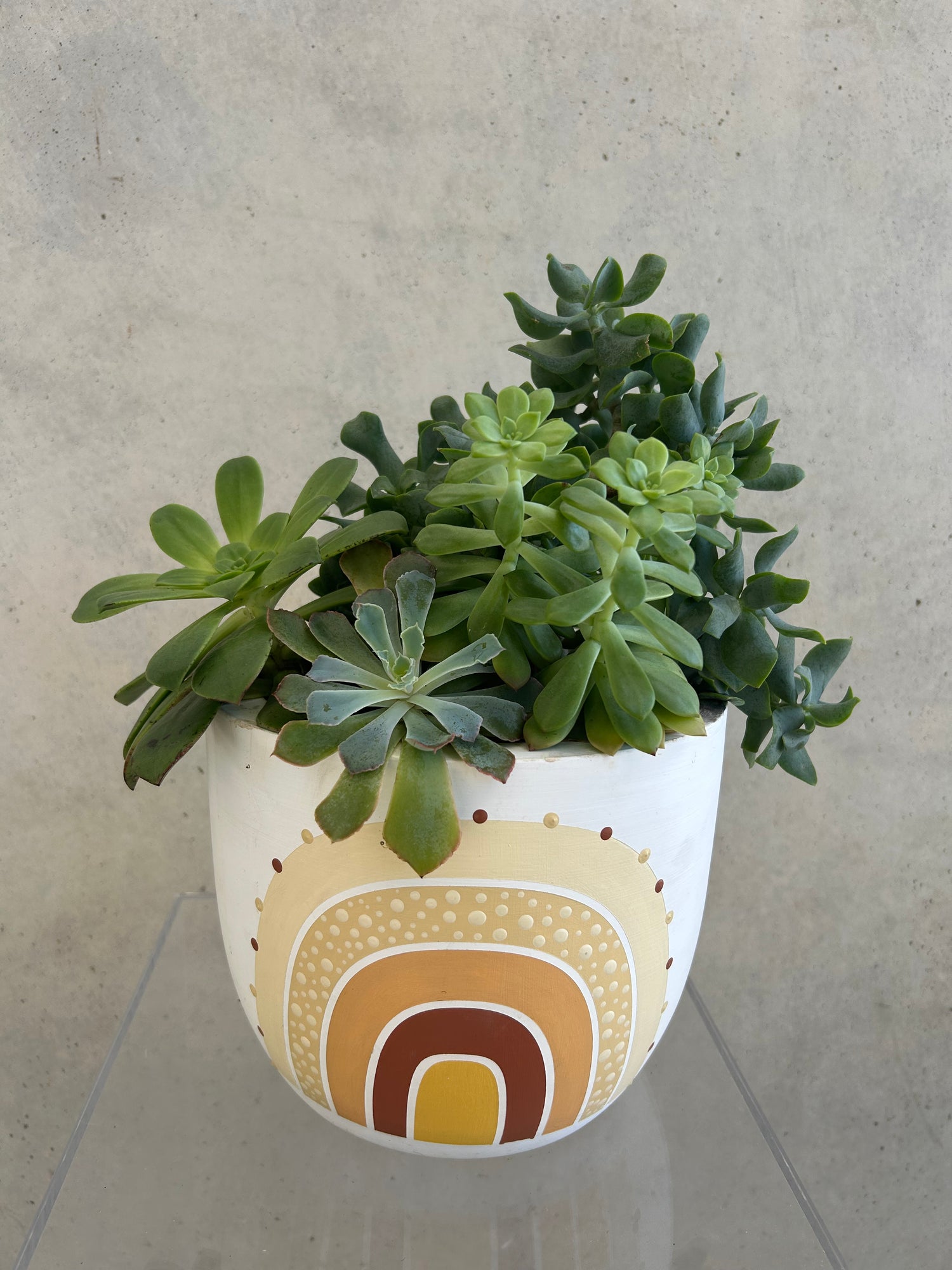 Succulent Pot