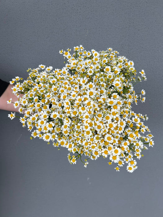 Market Flowers