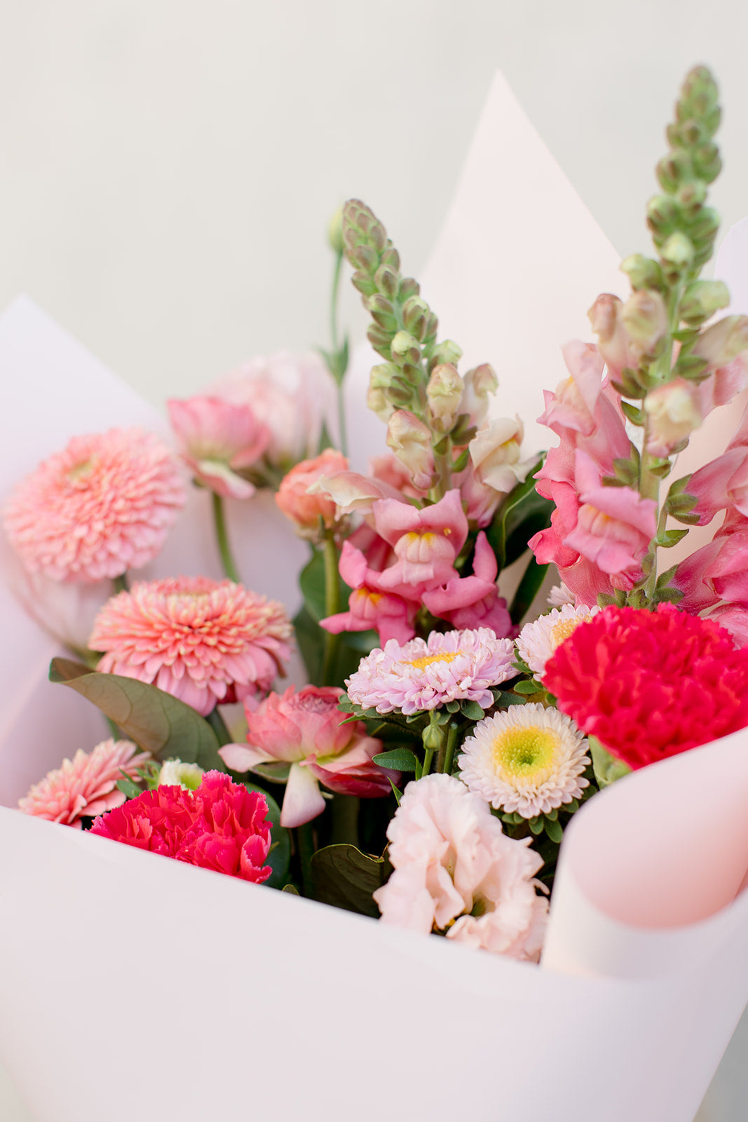 Pink Petals