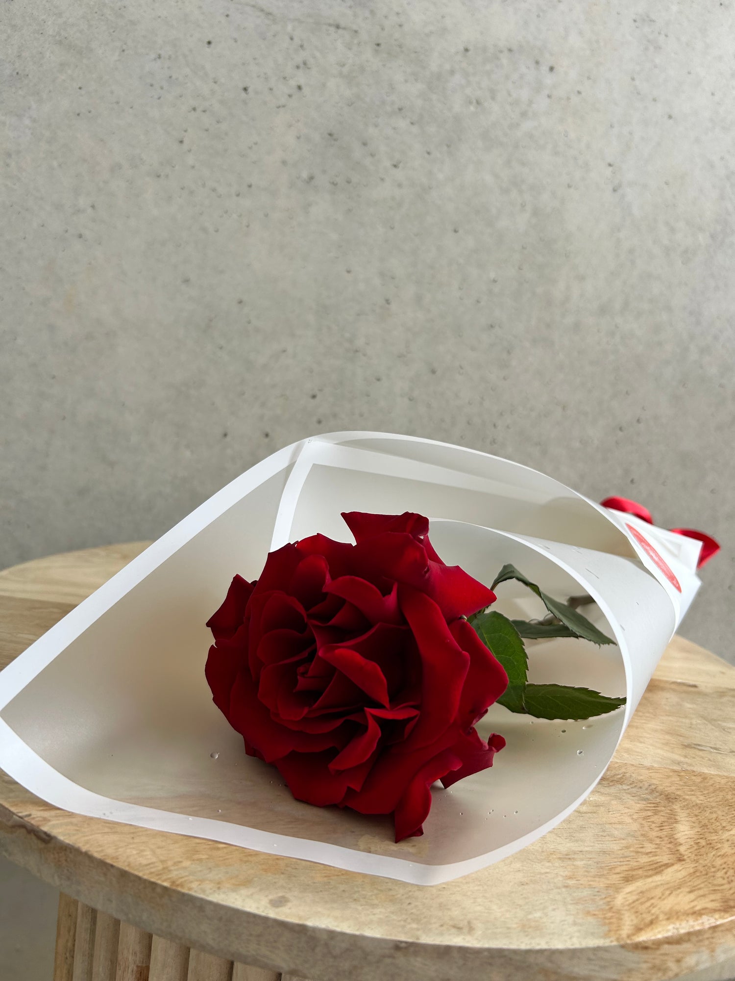 Valentine’s Day Single Rose