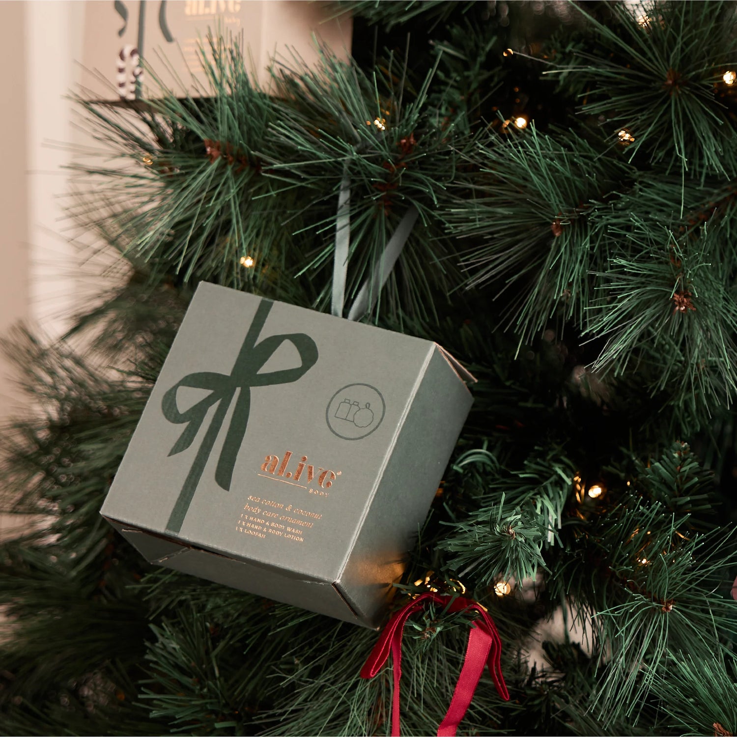 Body Care Ornament - Al.ive Body