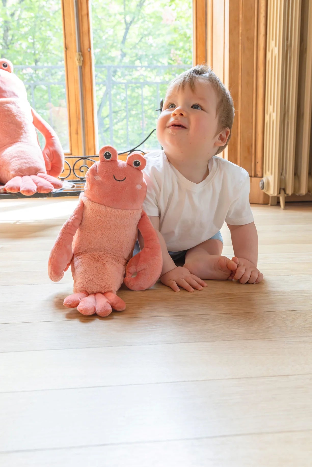 Craig The Crayfish - Nana Huchy