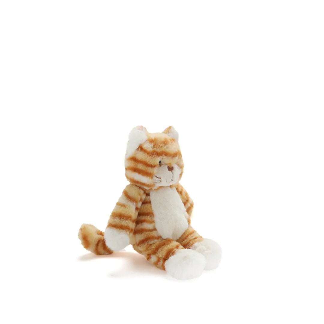 Ginger The Kitten - Nana Huchy