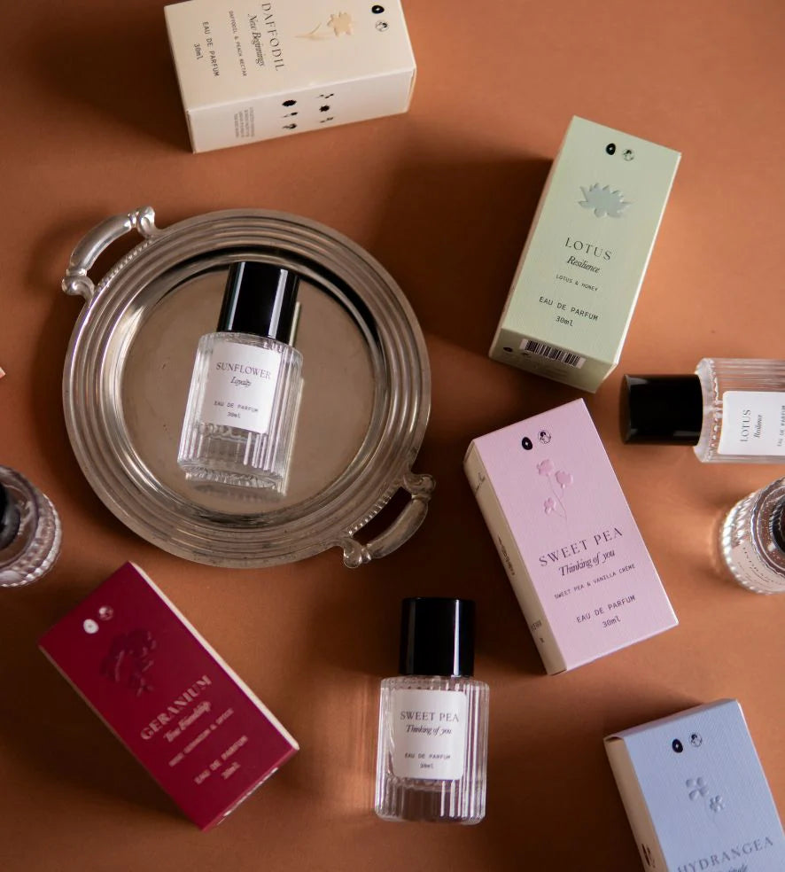 Perfume - Studio Sol