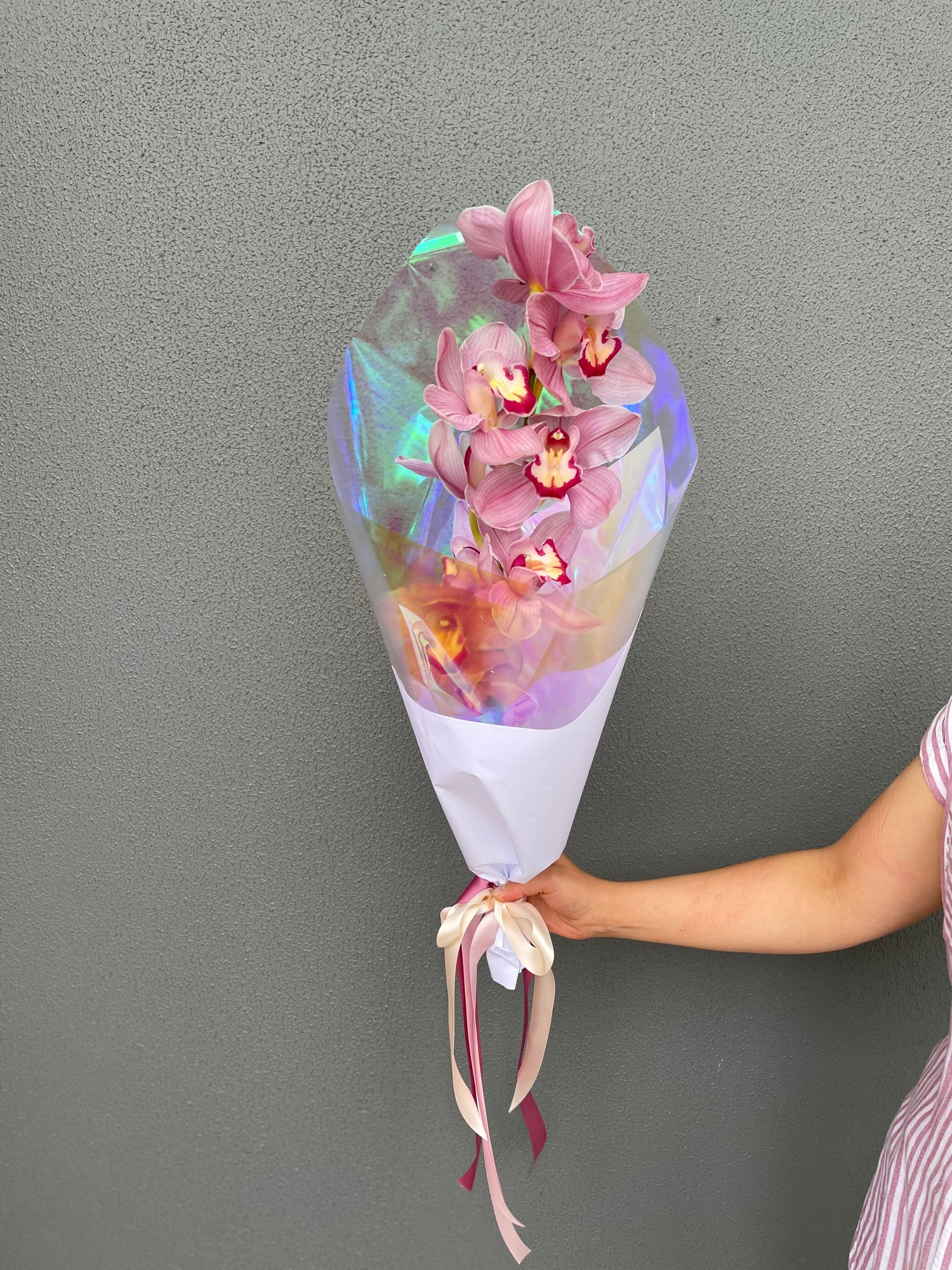 Cymbidium Wrapped