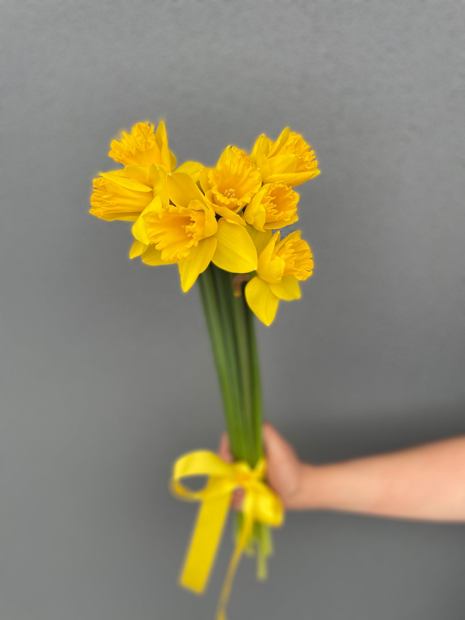 Daffodils